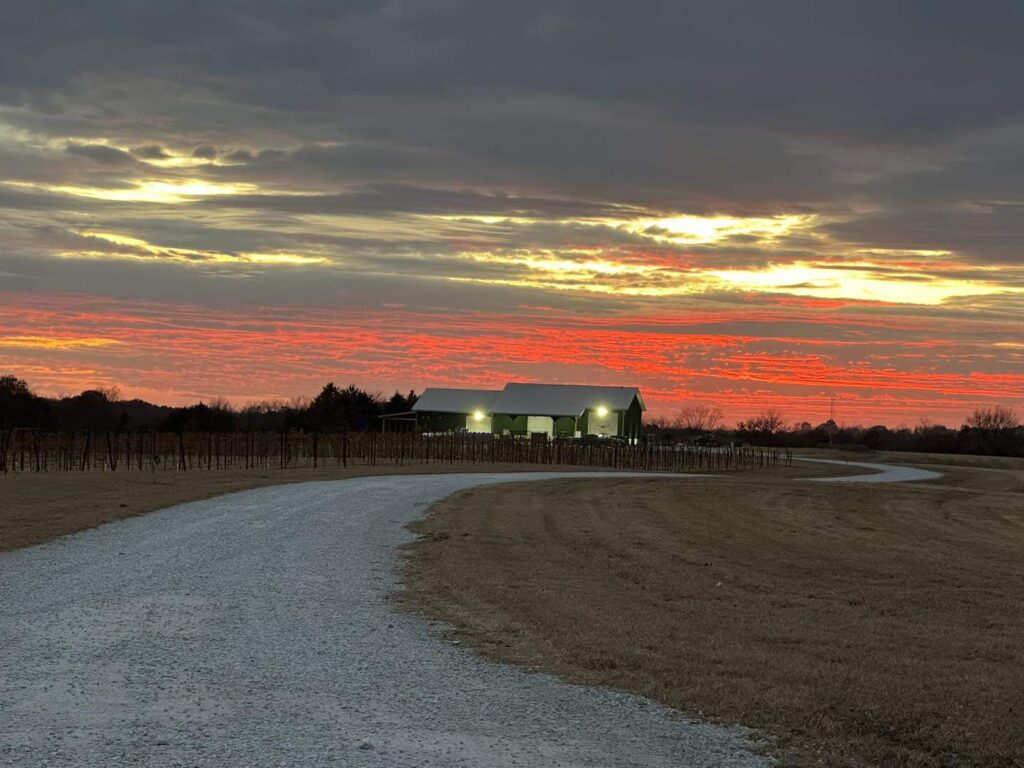 Sunset-Winery